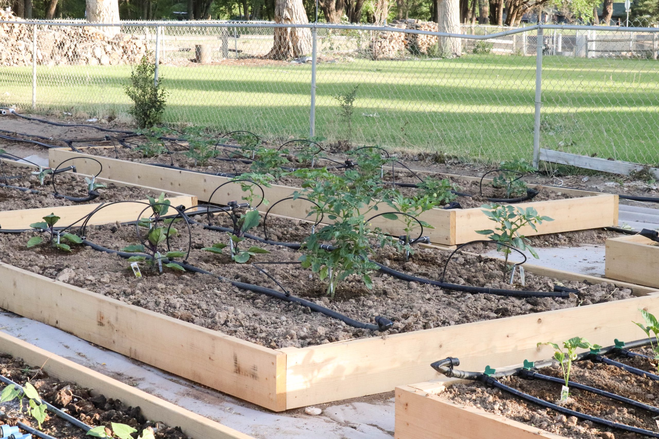 Easy DIY Raised Garden Beds